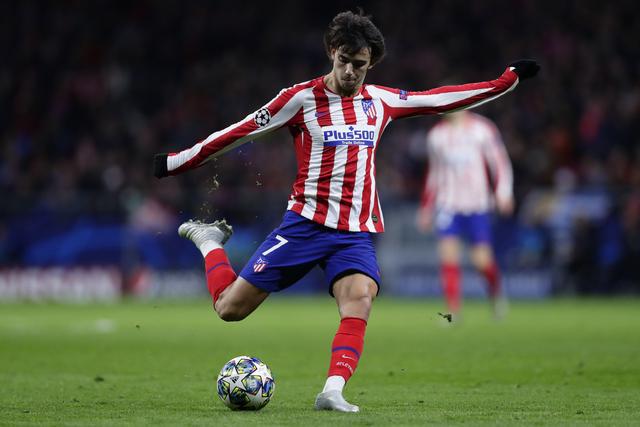 森林狼展现 森林狼展现